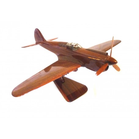 P-40 Curtiss Warhawk