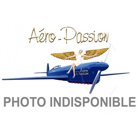 Cessna Caravan- aero-passion.fr