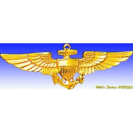 Insigne metal -US Navy Pilot Wings now - Insigne - DJH