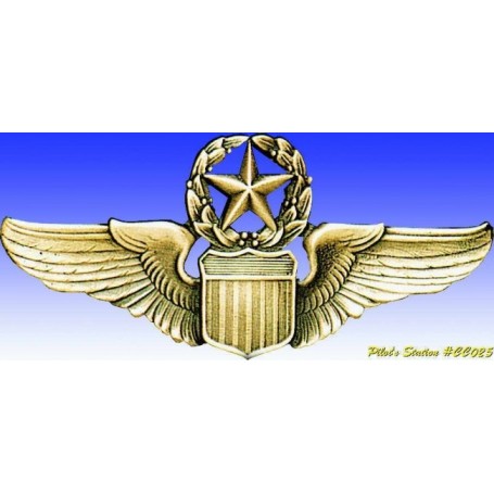 Insignia metal -USAAF Command Pilot wings - Insigne - DJH