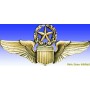 Insigne metal -USAAF Command Pilot wings - Insigne - DJH