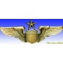 Insigne metal -USAAF Senior Pilot - Insigne - DJH