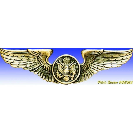 Insigne metal -USAAF Air crew wings - Insigne - DJH