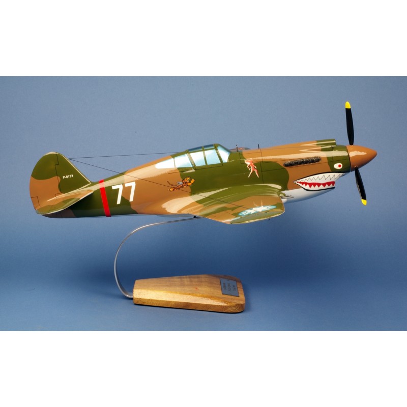 Avion De Guerre De La Seconde Guerre Mondiale P-40 Warhawk Image