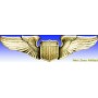Insignia metal -USAAF Pilote Wings - Insigne - DJH CC023