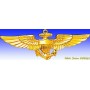 US Navy Pilot Wings now - Insigne - DJH CC026