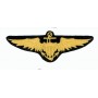 US Navy Pilot Wings - Ecusson patch 11x4cm FS400