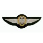 Luftwaffe Pilot Wings - Ecusson patch 12.5x4.5cm FS406