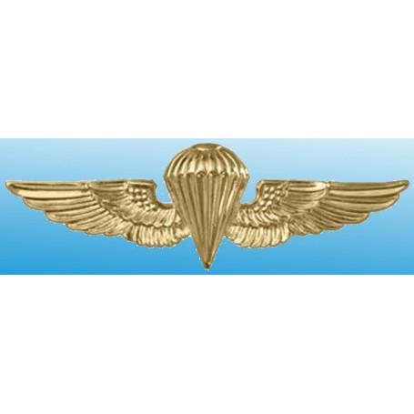 US Navy Paratroop Wings FO441198