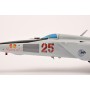 MiG-25 RBSh n°25 RU0016