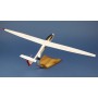 plane model - Schleicher ASW.24 VF401
