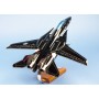 maquette avion - Grumman F-14 Tomcat Black Bunny VF240