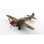 P-40N Kittyhawk 'No Orchids'  450 Squadron RAAF, Vasto Italy 1944 HM5508