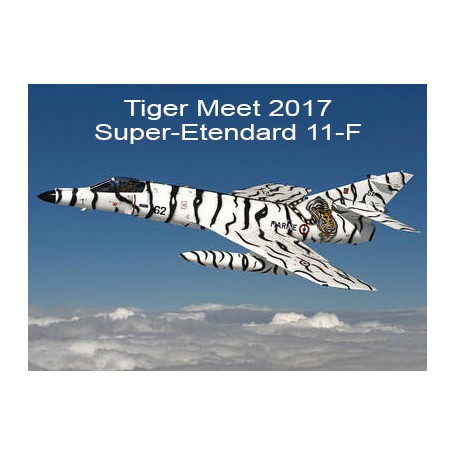 copy of Super-Etendard Marine 11-F Tiger NTM 2010