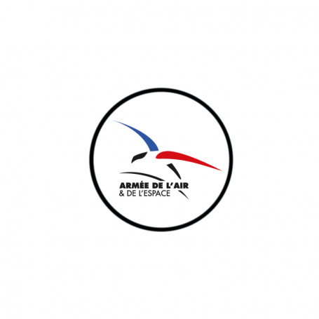 Pin's Armée De L'Air Et De Espace Logo Métal Noir Et Blanc AAE-AC-10801