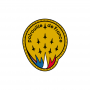 Patch Patrouille De France Logo Original Jaune PAF PAF-AC-17802