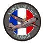 TRANSAL Armée de l'Air - Ecusson patch 10cm PS118